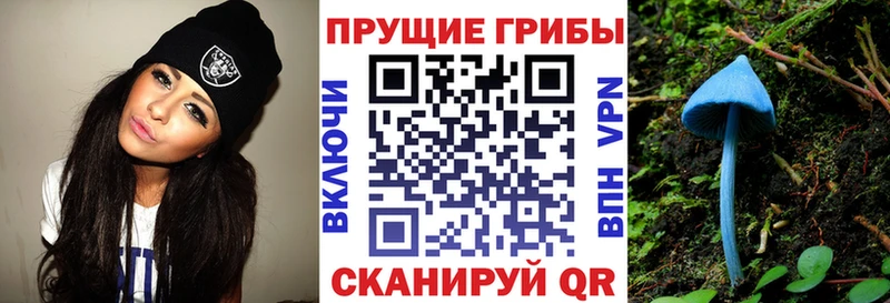KRAKEN вход  нарко площадка как зайти  Кубинка  Галлюциногенные грибы прущие грибы  где можно купить наркотик 